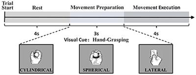 TV-NARX and Coiflets WPT based time-frequency Granger causality with application to corticomuscular coupling in hand-grasping